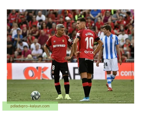 马洛卡防守体系稳健，近期表现备受关注，展现出良好竞技状态