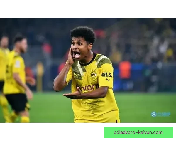 阿德耶米的技术特点分析与赛季表现趋势逐渐受到关注